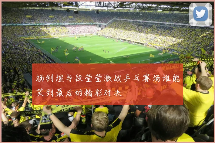 杨钊煊与段莹莹激战乒乓赛场谁能笑到最后的精彩对决