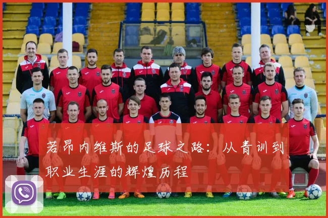 若昂内维斯的足球之路：从青训到职业生涯的辉煌历程