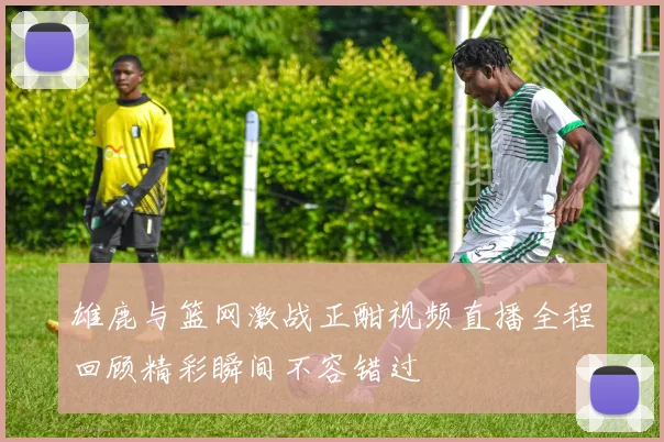 雄鹿与篮网激战正酣视频直播全程回顾精彩瞬间不容错过