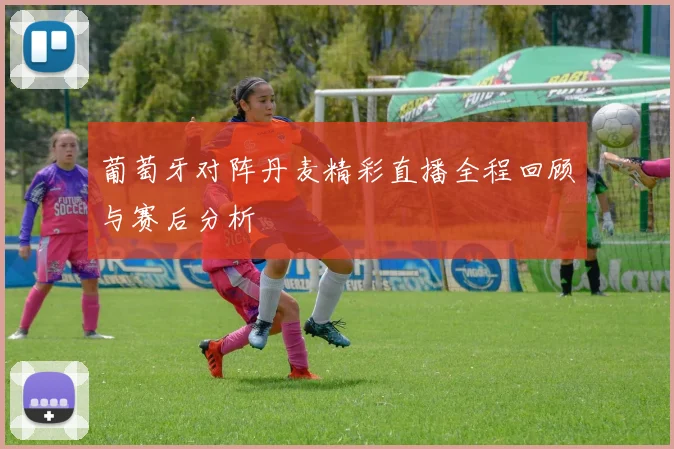 葡萄牙对阵丹麦精彩直播全程回顾与赛后分析