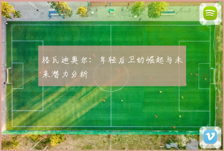 格瓦迪奥尔：年轻后卫的崛起与未来潜力分析